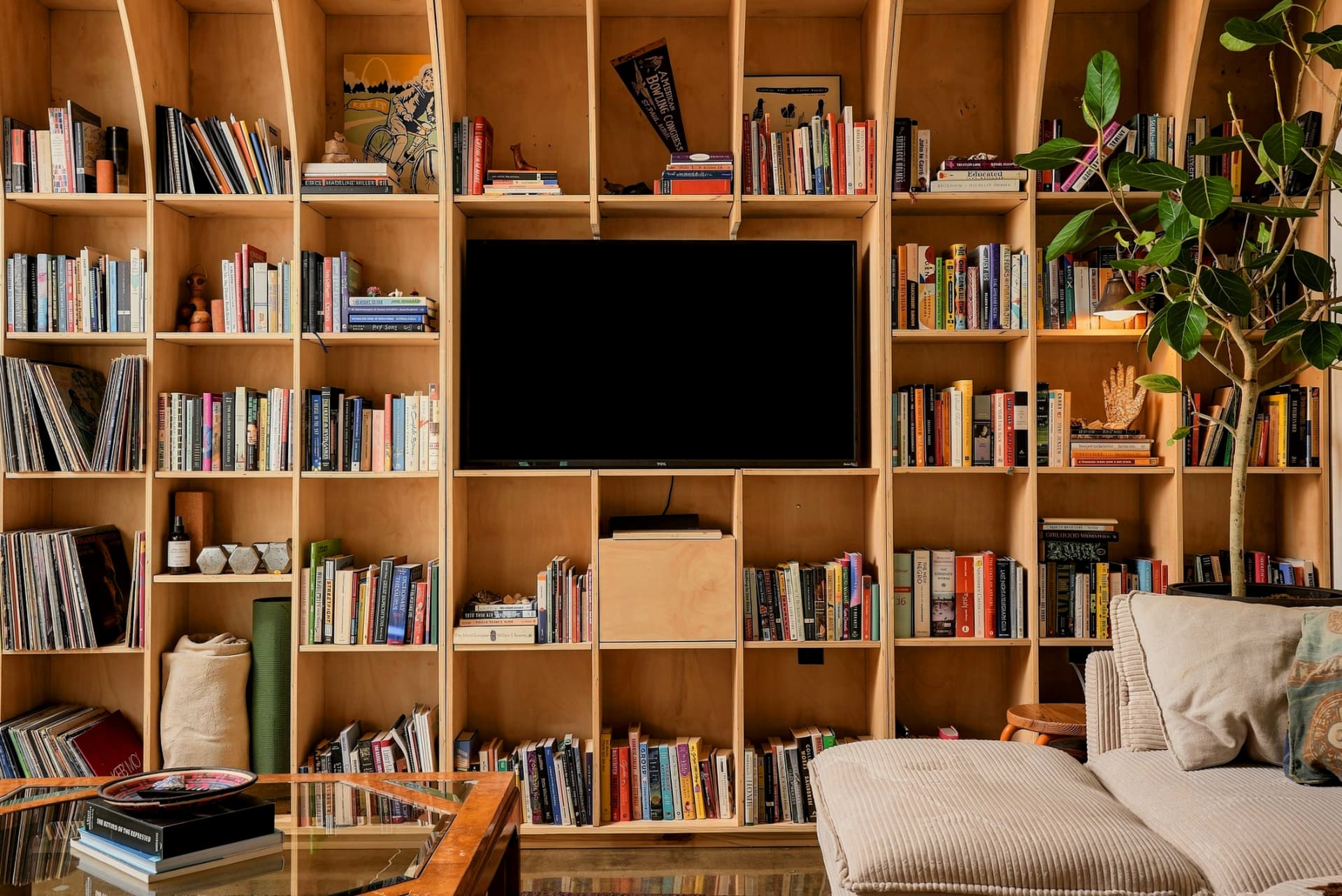 Built-in bookshelf wall with records and a television