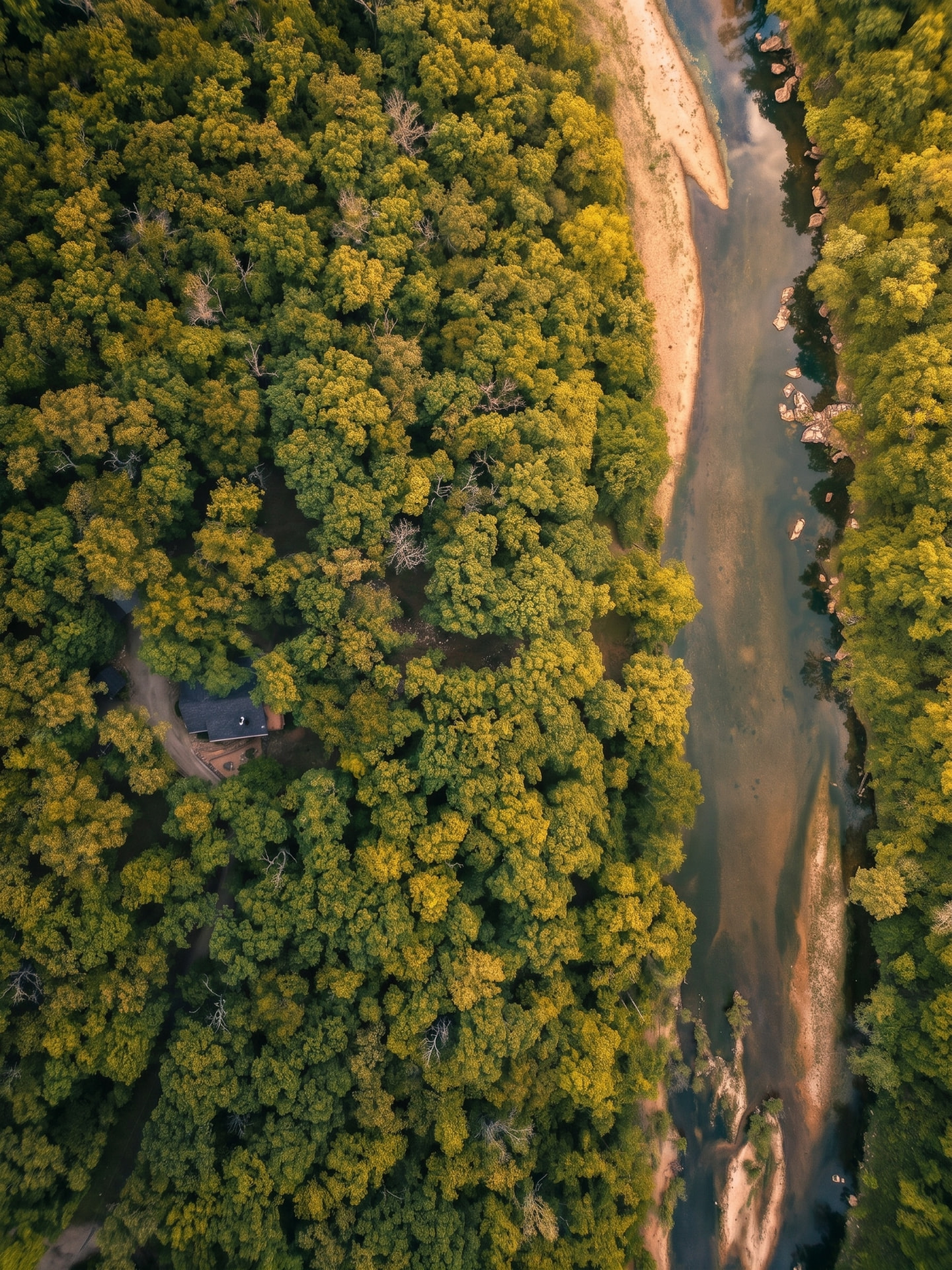 Aerial top-down view of a solitary house nestled in a green forest beside a river