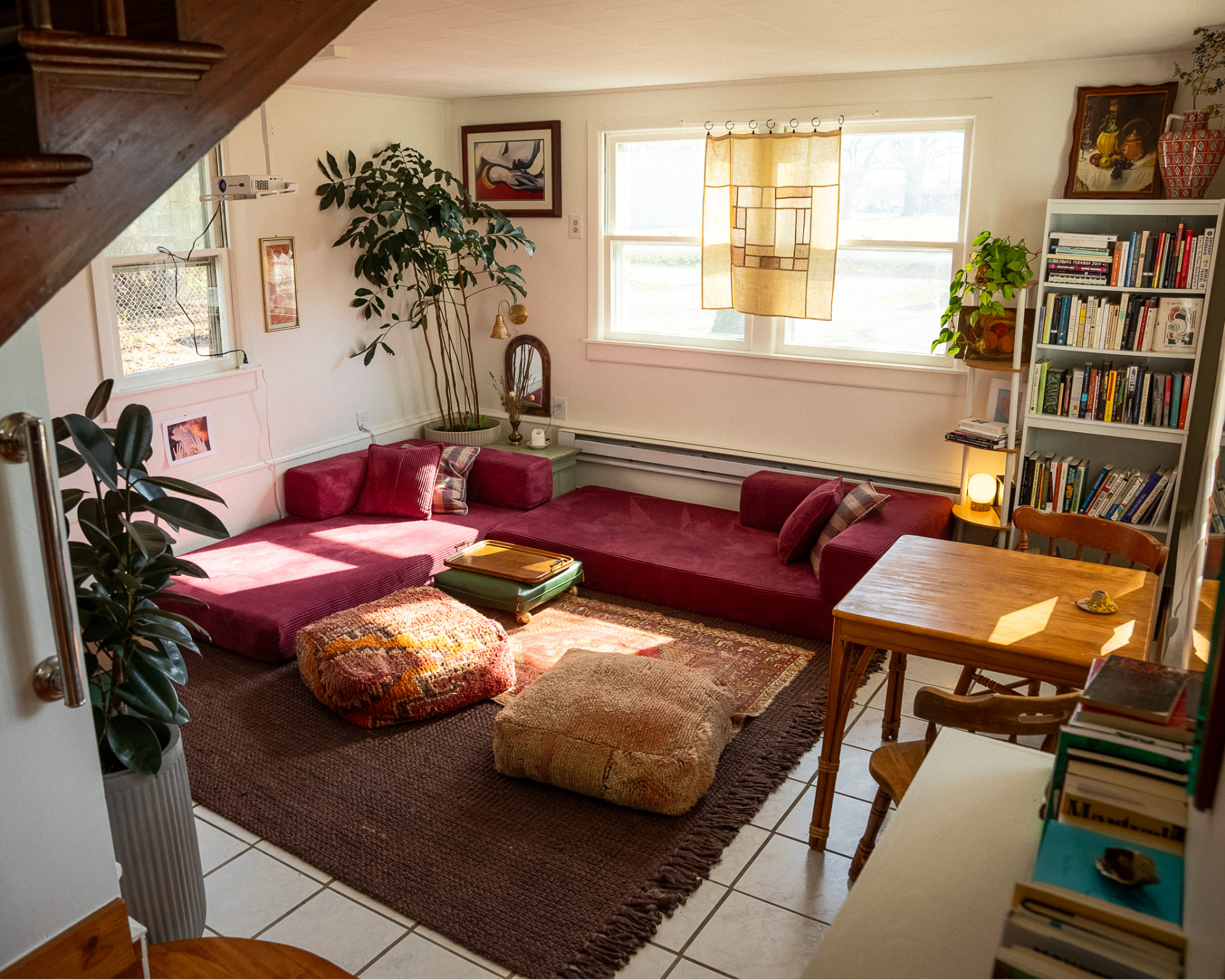 Magenta sectional lounge with plants and bookshelves