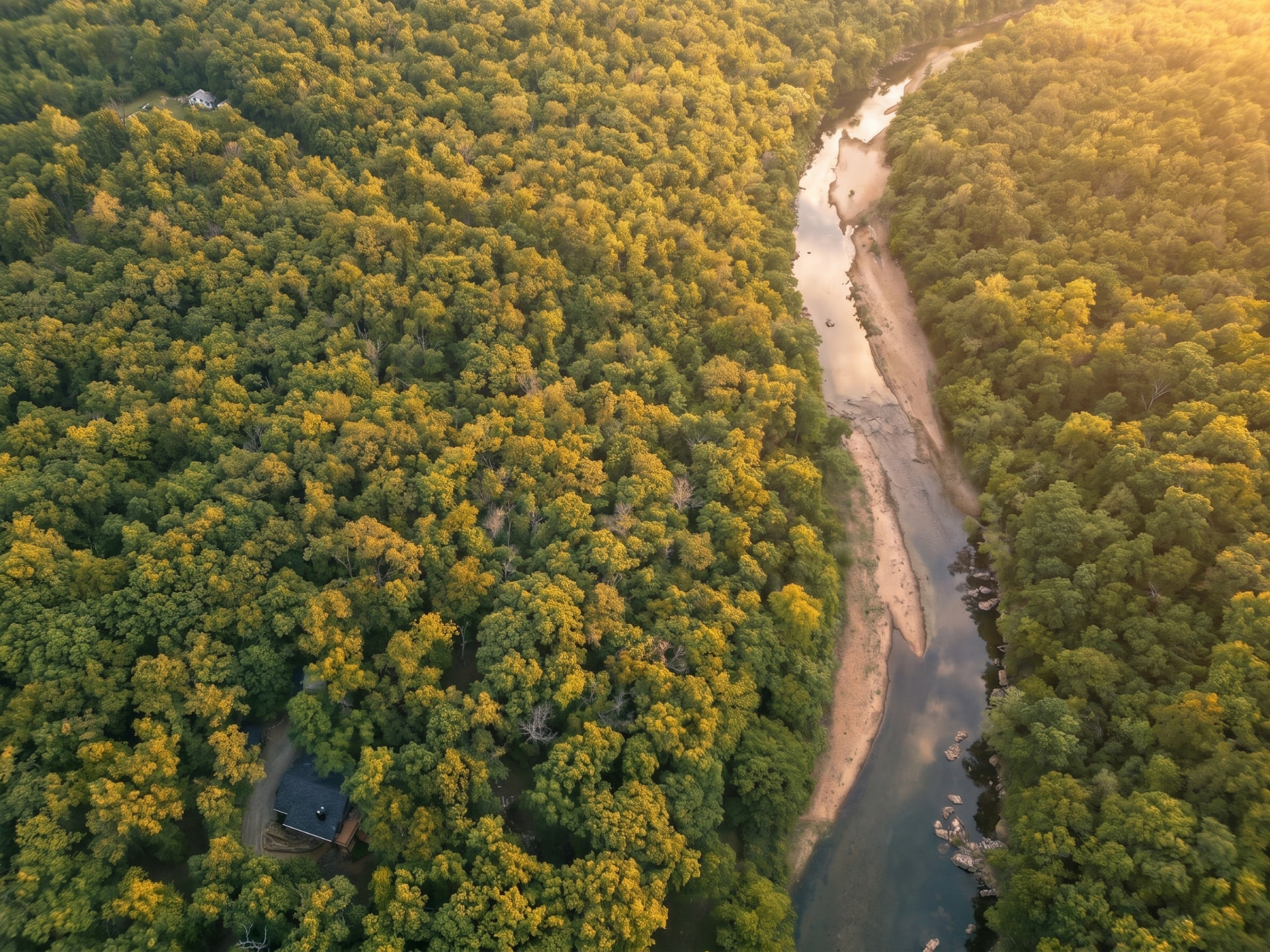 Aerial view of a winding river through a sun-drenched forest at golden hour
